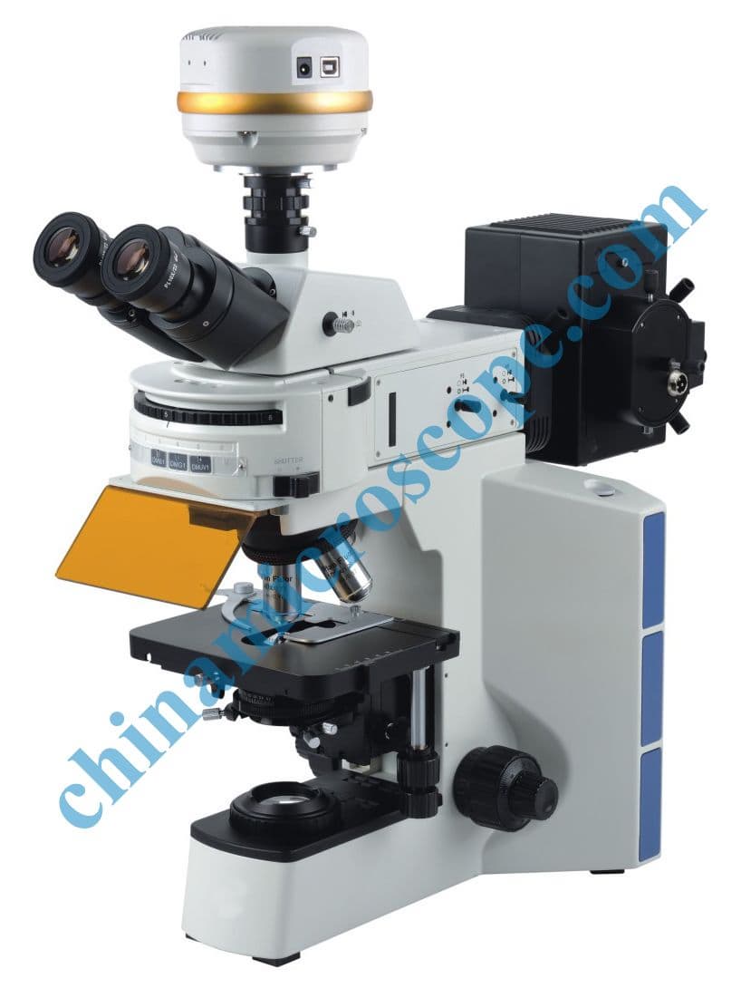 XSZ_EF40 microscope